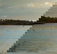 Lake Inverell Reserve - Attractions Sydney