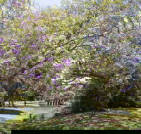 Leis Park - Attractions Sydney