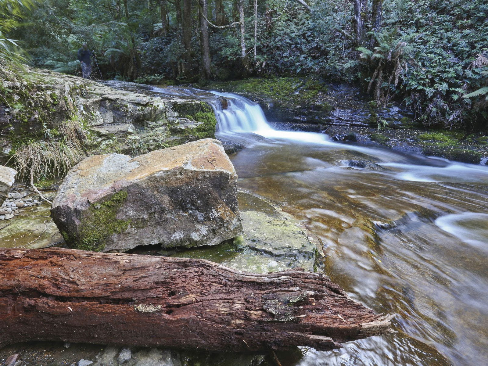 Liffey TAS Attractions Sydney