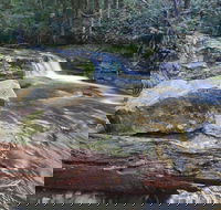 Liffey Falls Reserve - Attractions Sydney