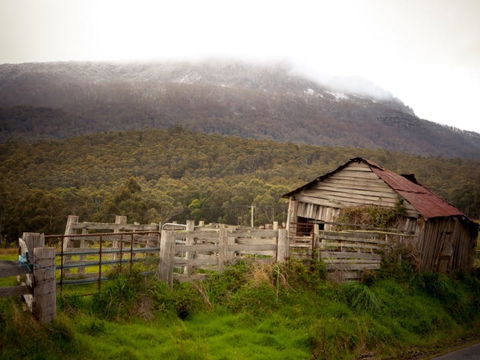 Liffey Falls Reserve - Attractions Sydney 2