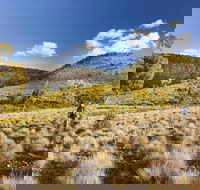 Little Mountain Walking Track - Attractions Sydney