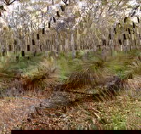 Livingstone National Park - Attractions Sydney