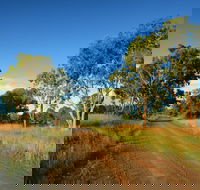 Maclagan - Attractions Sydney