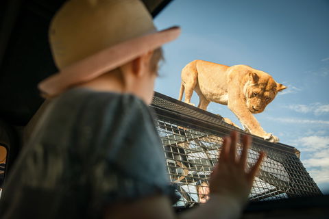 Monarto Safari Park - Attractions Sydney 2