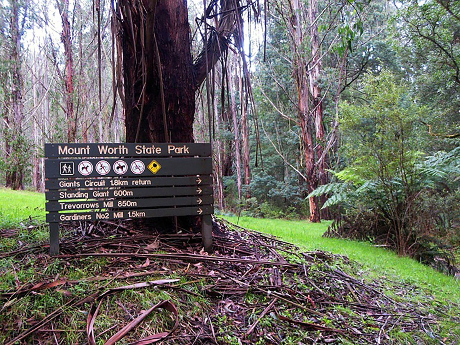 Trida VIC Attractions Sydney