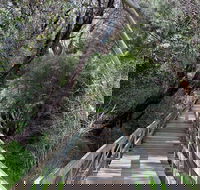 Mulwaree River Walkway - Attractions Sydney