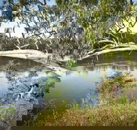 Murray Valley National Park - Attractions Sydney