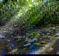 Nambucca Valley - Attractions Sydney