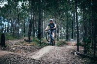 Nerang Mountain Bike Trails