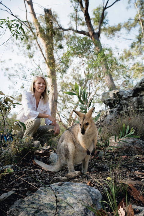 North Burnett - Mount Perry (via Monto) To Biggenden To Childers - Attractions Sydney 2