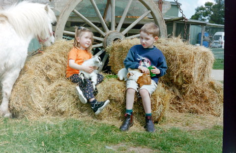 Rain Hayne And Shine Farmyard - Attractions Sydney 0