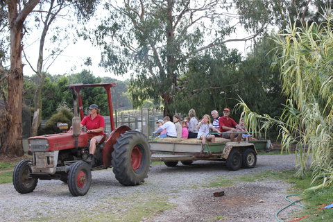 Rain Hayne And Shine Farmyard - Attractions Sydney 1