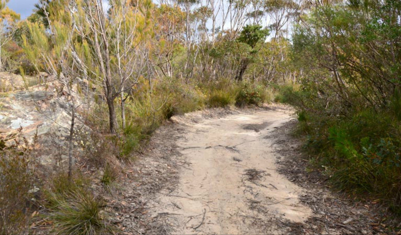 Browns Mountain NSW Attractions Sydney