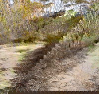 Red Rocks trig walking track - Attractions Sydney