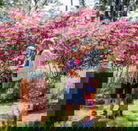 Sculpture at Petana - Attractions Sydney