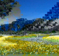 Shearer's Way - Attractions Sydney