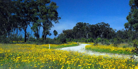 Shearer's Way - Attractions Sydney 0