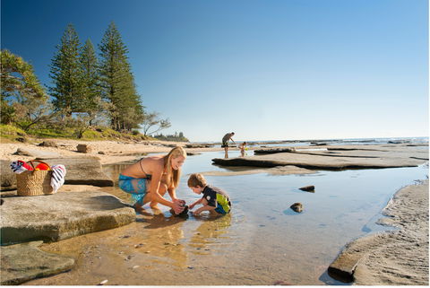 Shelly Beach - Attractions Sydney 0