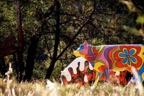 Shepparton - Attractions Sydney 1