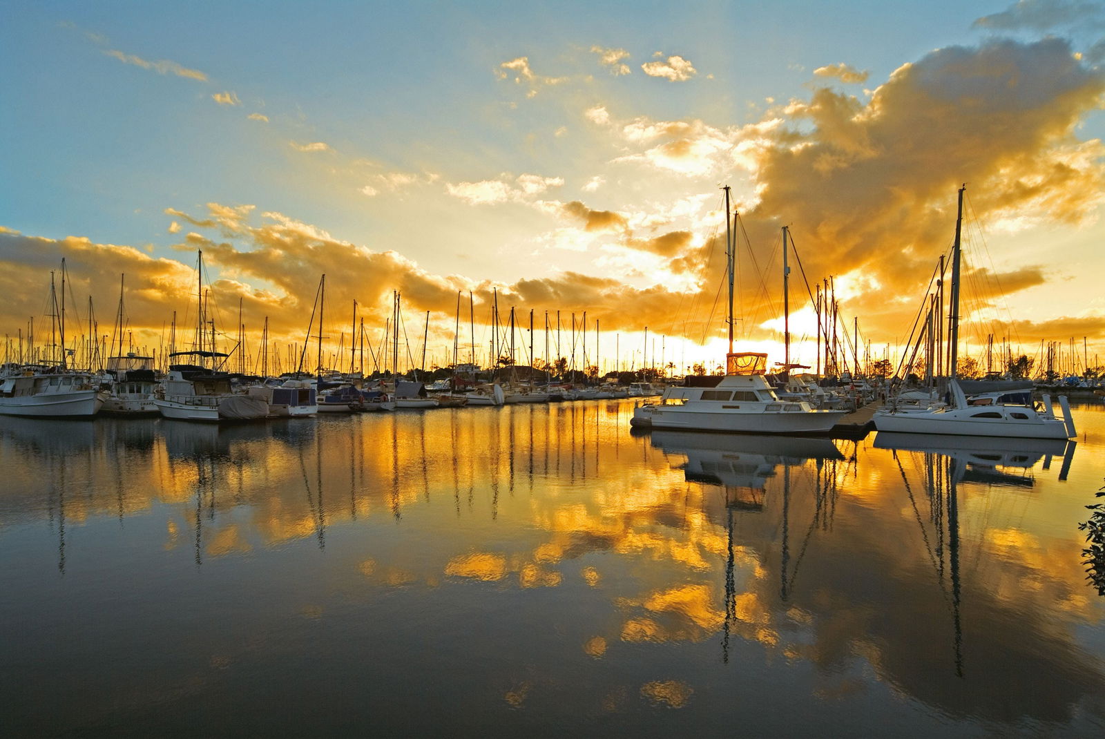 Attractions Sydney