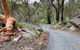 Stepping Stone Crossing To Cascades Trail - thumb 0