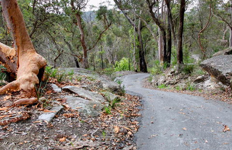 Stepping Stone Crossing To Cascades Trail - Attractions Sydney 0
