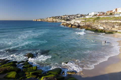 Tamarama Beach - Attractions Sydney 1