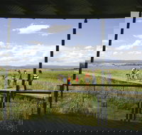 Tamar Island Wetlands Centre and Reserve - Attractions Sydney