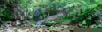 Tamborine National Park