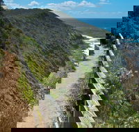 The Coast Walking Track - Attractions Sydney