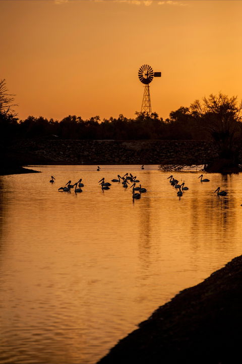 Thomson River, Longreach - Attractions Sydney 2