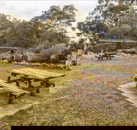 Thredbo River picnic area - Attractions Sydney