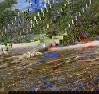Tjaynera Falls Sandy Creek - Attractions Sydney