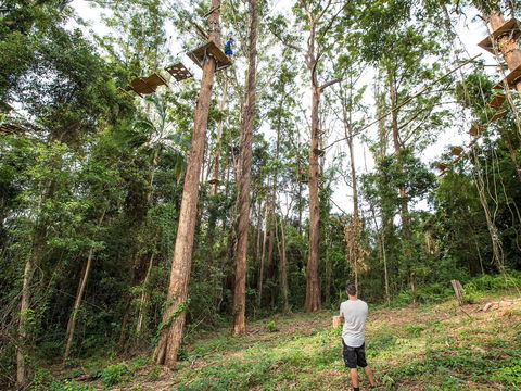 TreeTop Challenge - Sunshine Coast - Attractions Sydney 1