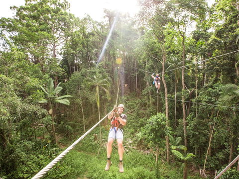 TreeTop Challenge - Sunshine Coast - Attractions Sydney 2