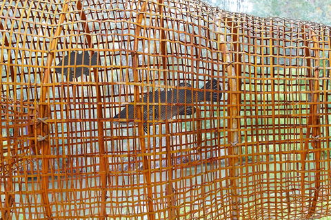 Wagirra Trail And Yindyamarra Sculpture Walk - Attractions Sydney 2