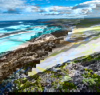 Walpole - Attractions Sydney