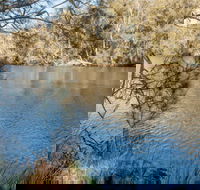 Wandandian Creek picnic area - Attractions Sydney