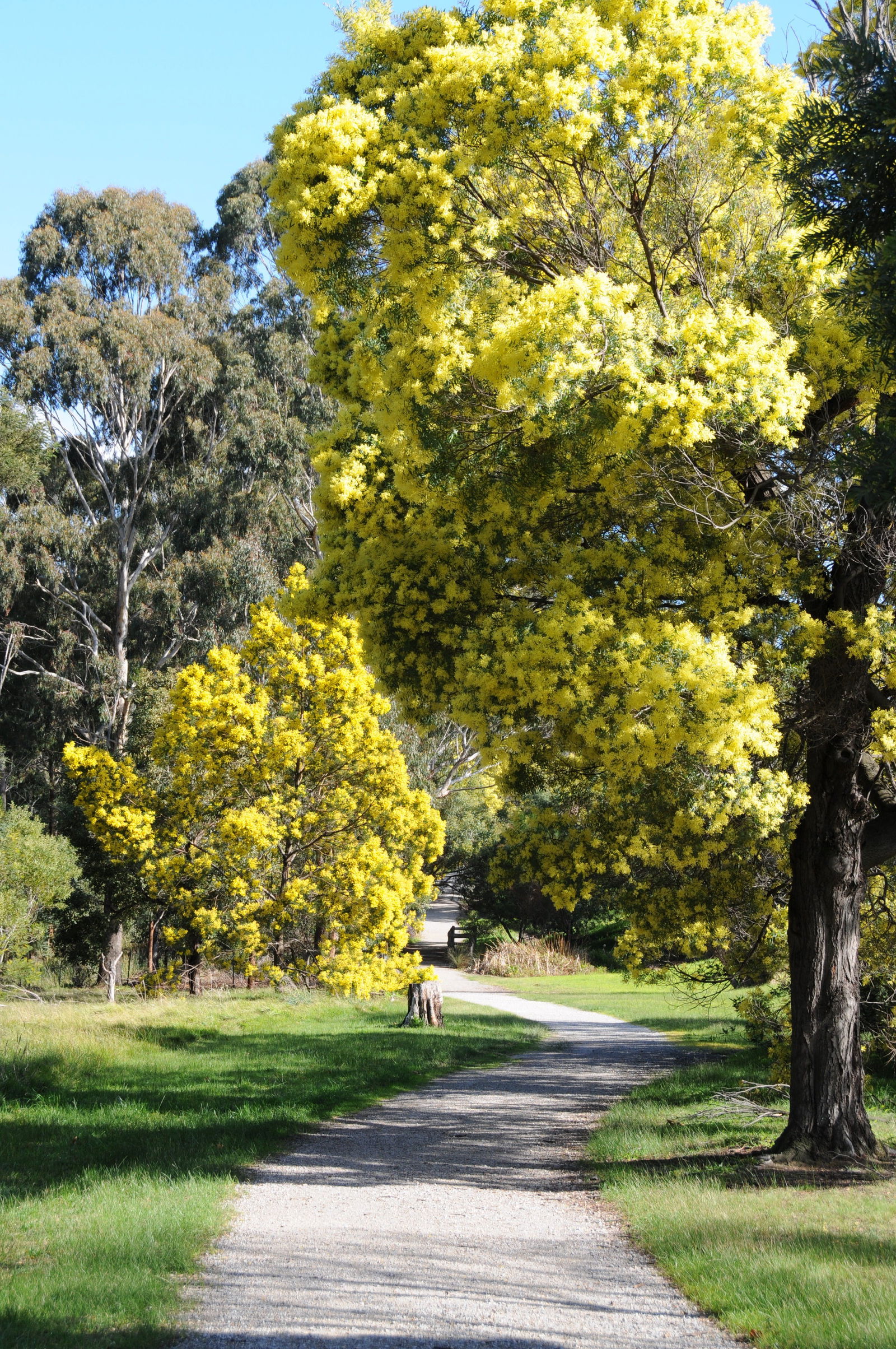 Kilsyth VIC Attractions Sydney