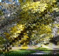 Wattle Park - Attractions Sydney