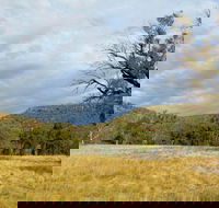 Weddin Mountains National Park - Attractions Sydney