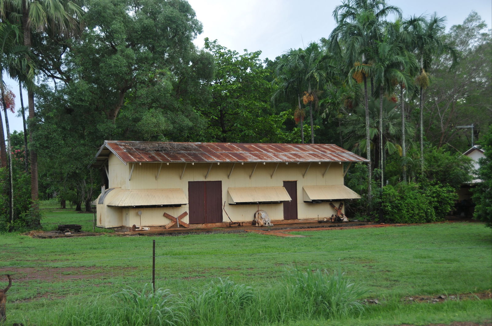 Mcminns Lagoon NT Attractions Sydney