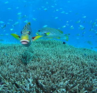 Wreck Bay Dive Site - Attractions Sydney