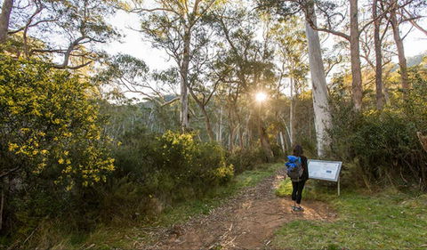 Yarrangobilly Caves – River Walk - Attractions Sydney 0