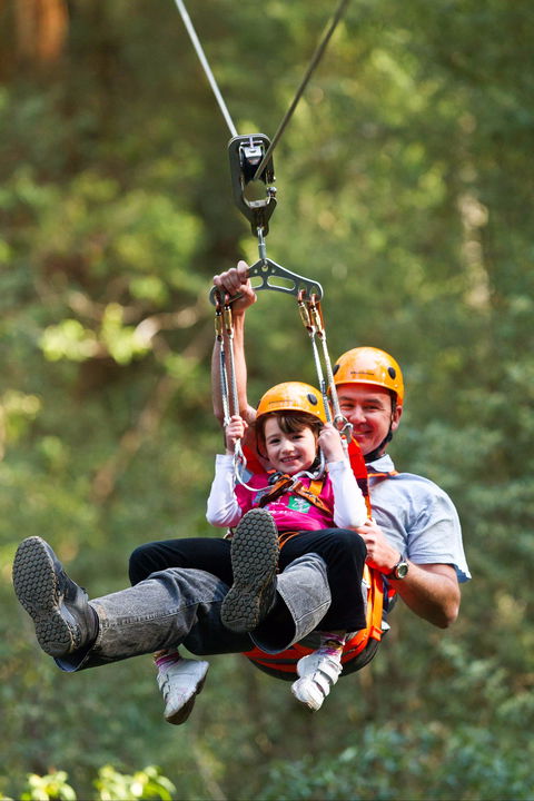 Zipline At Illawarra Fly - Attractions Sydney 0