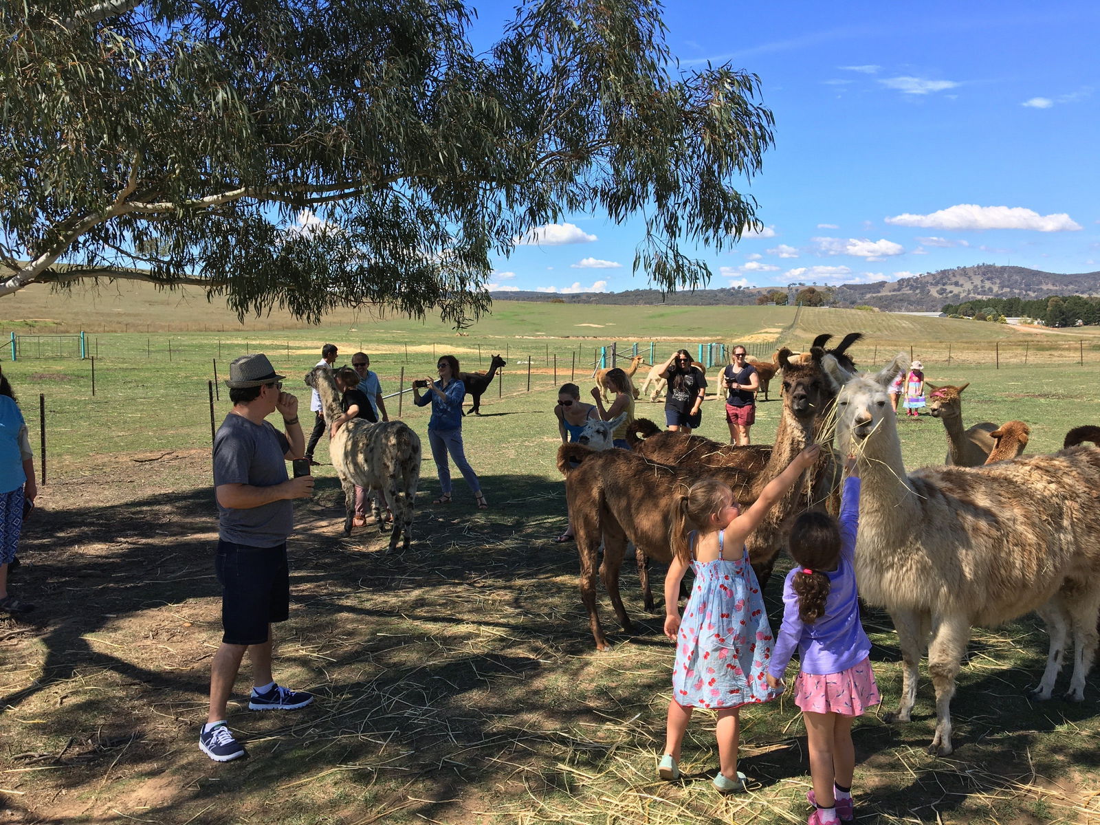 Yarrow NSW Attractions Sydney
