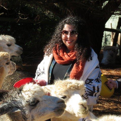 Alpaca Farm Experience At Crookwell - Attractions Sydney 1