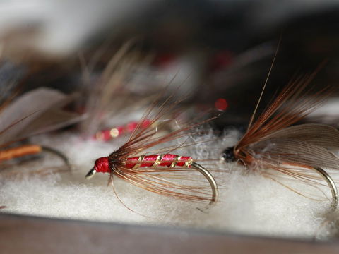 Australian Fly Fishing Museum - Attractions Sydney 0