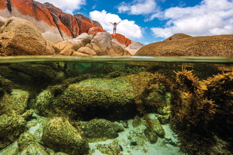 Bay Of Fires - Attractions Sydney 0